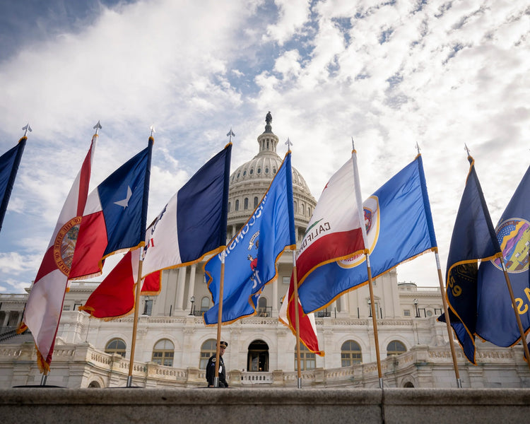 A photo of several state flags on poles with the United States capital building in the background.