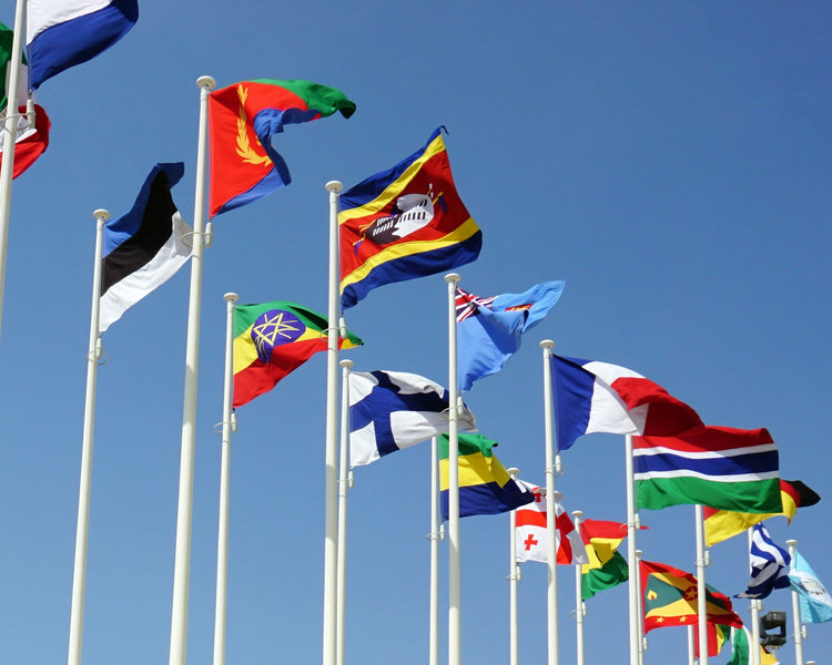 A photo of several world flags on tall poles with a blue sky in the background.