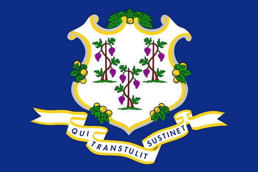 Connecticut State Flag - 4x6 Feet