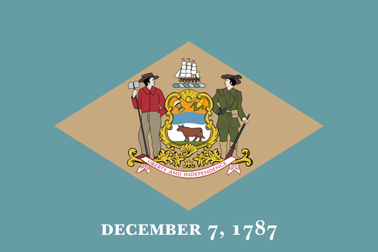 Delaware State Flag - 2x3 Feet