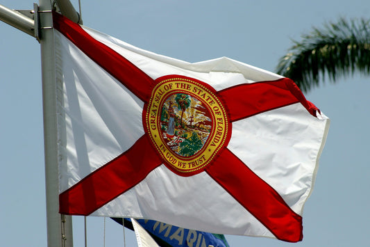 A photo of the flag of Florida flying with a blue sky and a few miscelations object in the background.
