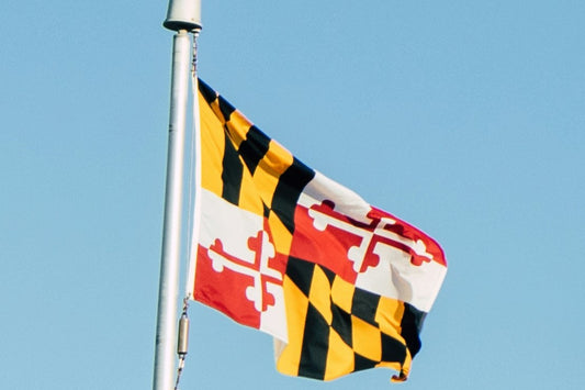A photo of the flag of Maryland flying on a flagpole with a blue sky in the background. 