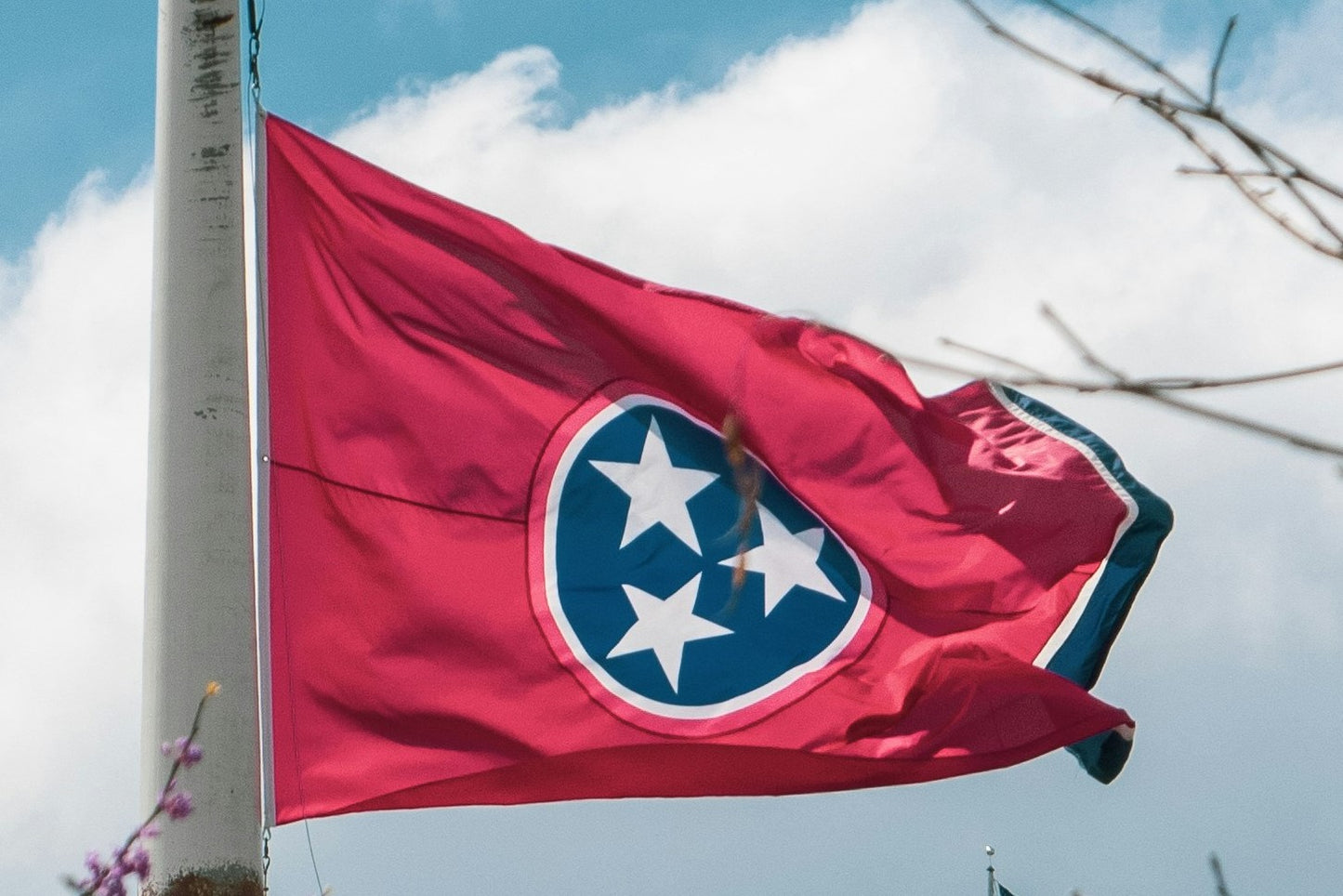 A photo of the flag of Tennessee flying on a flagpole with some branches around it and a cloudy sky in the background.